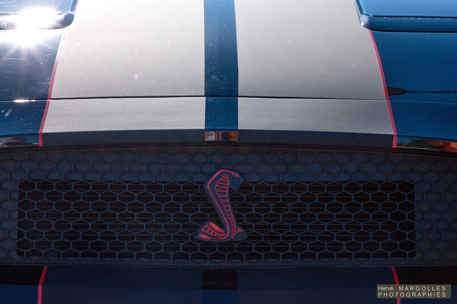 Ford Mustang Cobra -02.jpg
